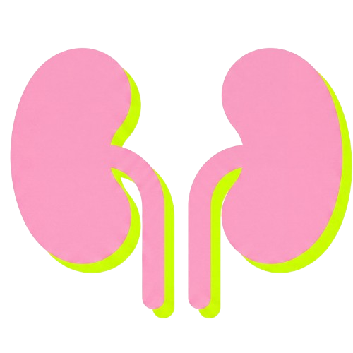 Strengthen Kidney Qi