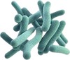 POSTBIOTICS
