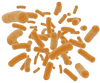 PREBIOTICS